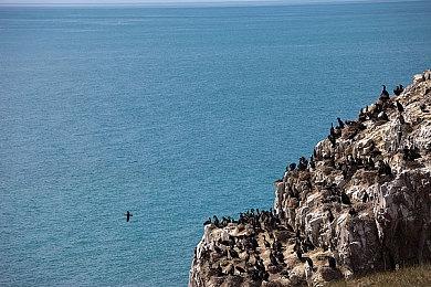 Leaf社传奇视觉小说《To Heart》将进行重制